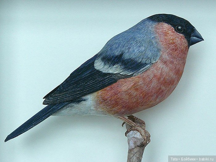 Бумажные, но как живые. Реалистичные фигурки птиц от Йохана Шерфта (фото 4)