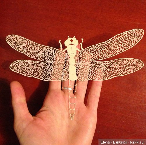 Невероятно изящные произведения из бумаги Мод Уайт