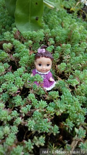 Яркие краски давно ушедшего лета