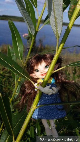 Яркие краски давно ушедшего лета (фото 3)