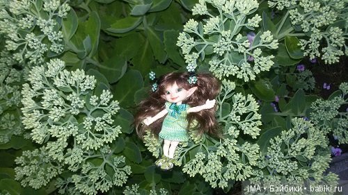 Яркие краски давно ушедшего лета (фото 5)