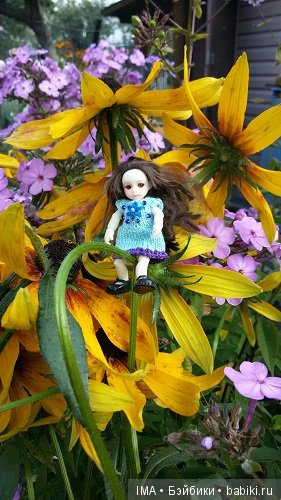 Яркие краски давно ушедшего лета