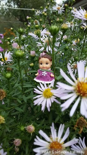 Яркие краски давно ушедшего лета