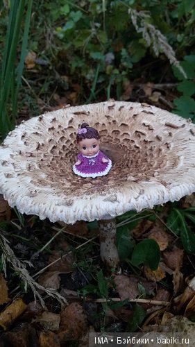 Яркие краски давно ушедшего лета (фото 8)