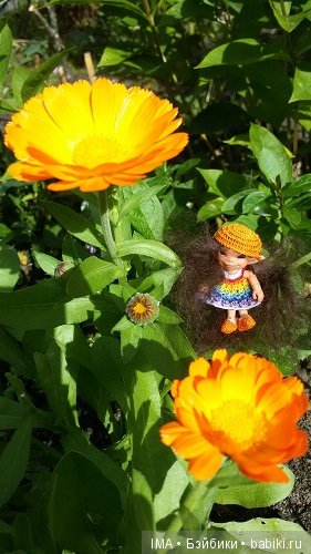 Яркие краски давно ушедшего лета