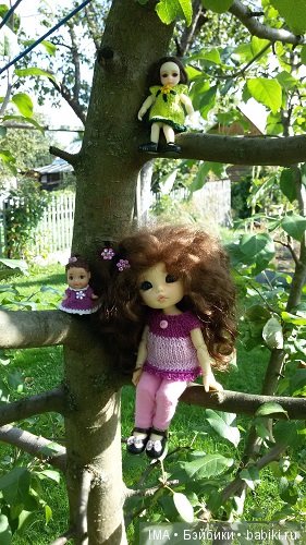 Яркие краски давно ушедшего лета (фото 9)