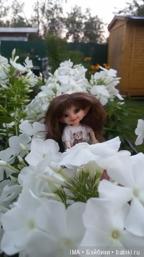 Яркие краски давно ушедшего лета (фото 6)