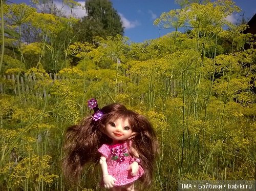 Яркие краски давно ушедшего лета (фото 4)