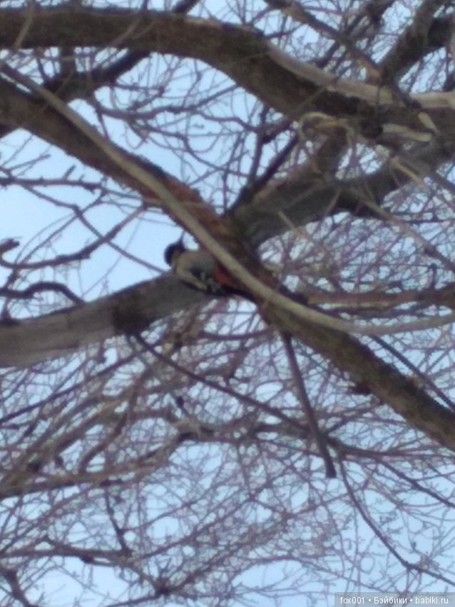 Василинка — Лепка авторских кукол: полимерная глина (фото 7)