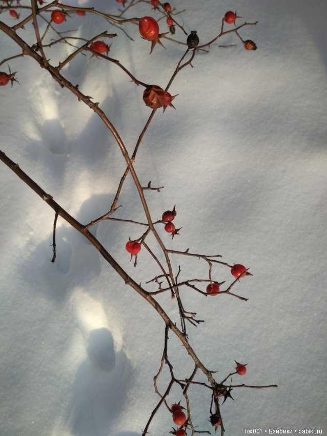 Василинка — Лепка авторских кукол: полимерная глина (фото 10)