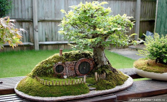 Дом хоббита в тени бонсая: проект Криса Гайза