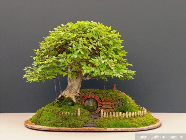 Дом хоббита в тени бонсая: проект Криса Гайза (фото 9)