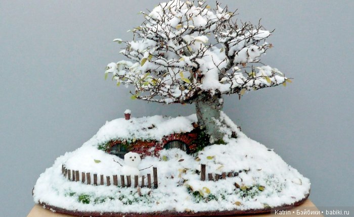 Дом хоббита в тени бонсая: проект Криса Гайза (фото 6)