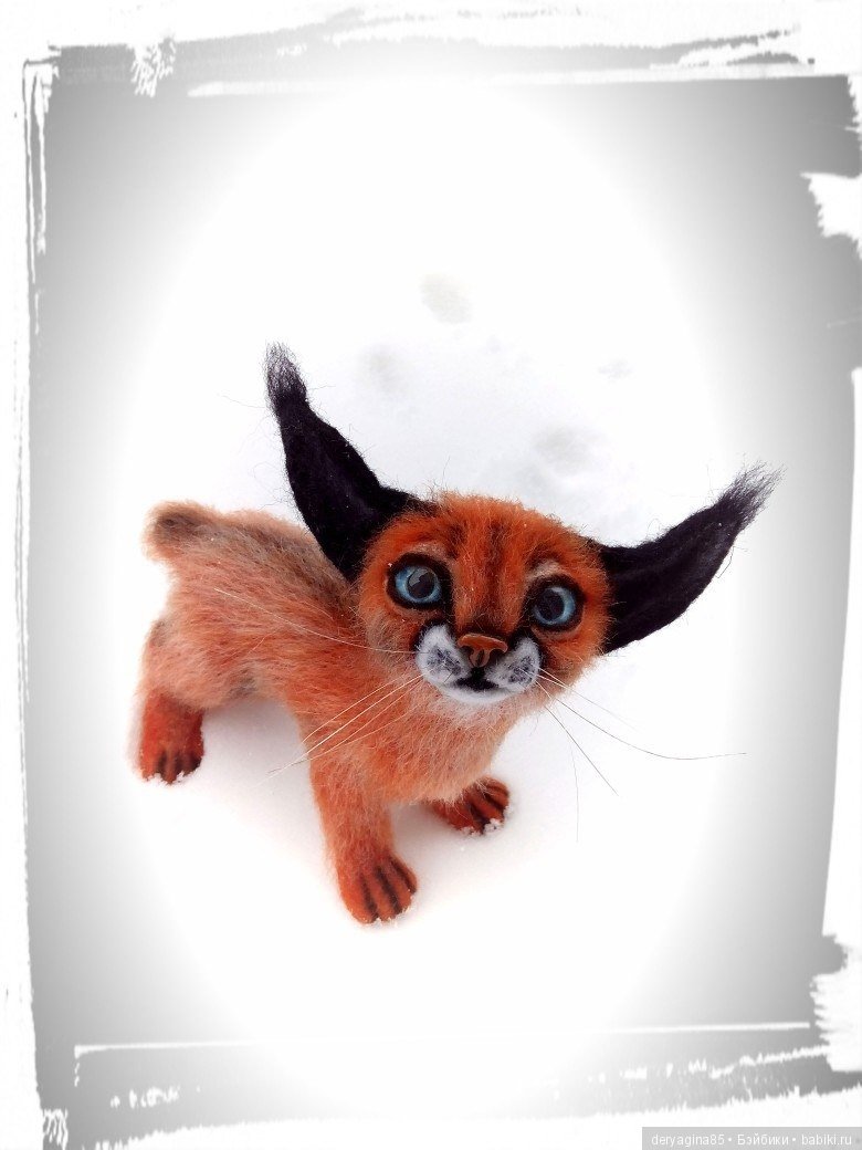 Малыш каракал, степная рысь (фото 7)