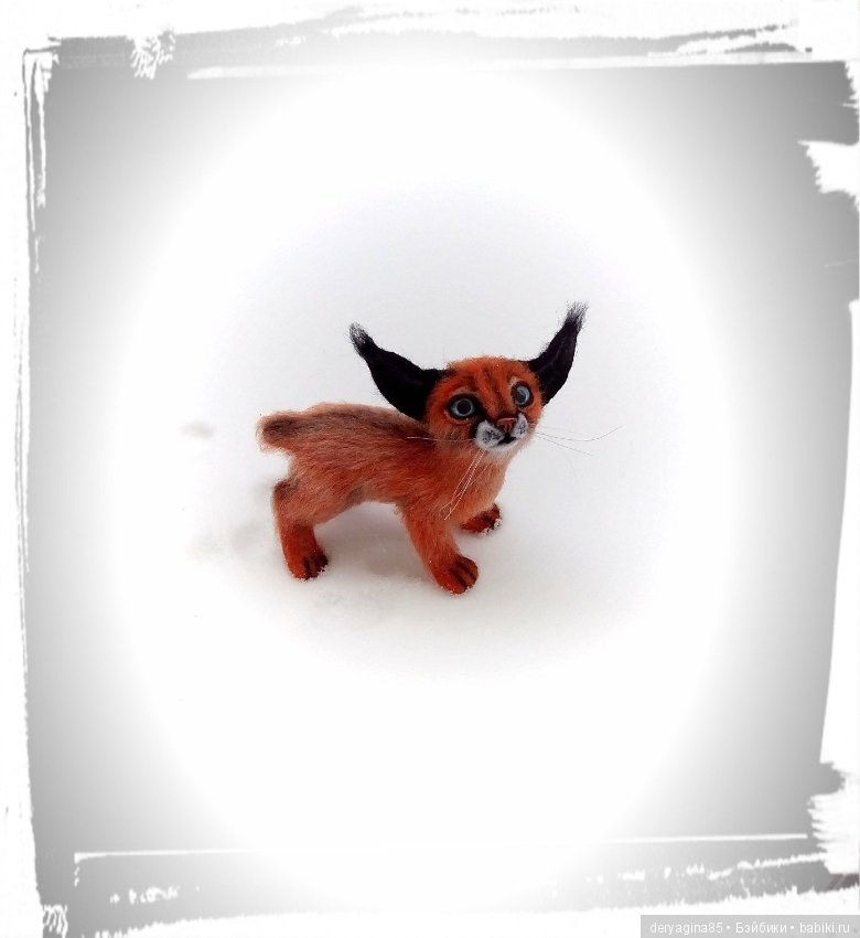 Малыш каракал, степная рысь (фото 5)