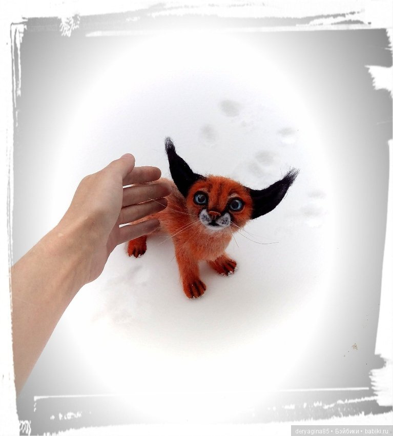 Малыш каракал, степная рысь (фото 9)