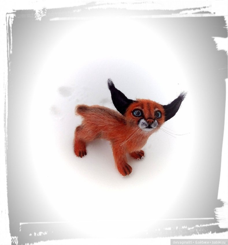 Малыш каракал, степная рысь (фото 6)