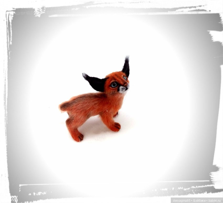 Малыш каракал, степная рысь (фото 3)