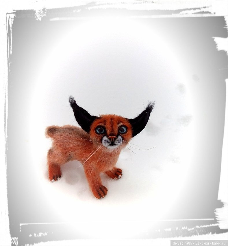 Малыш каракал, степная рысь (фото 10)