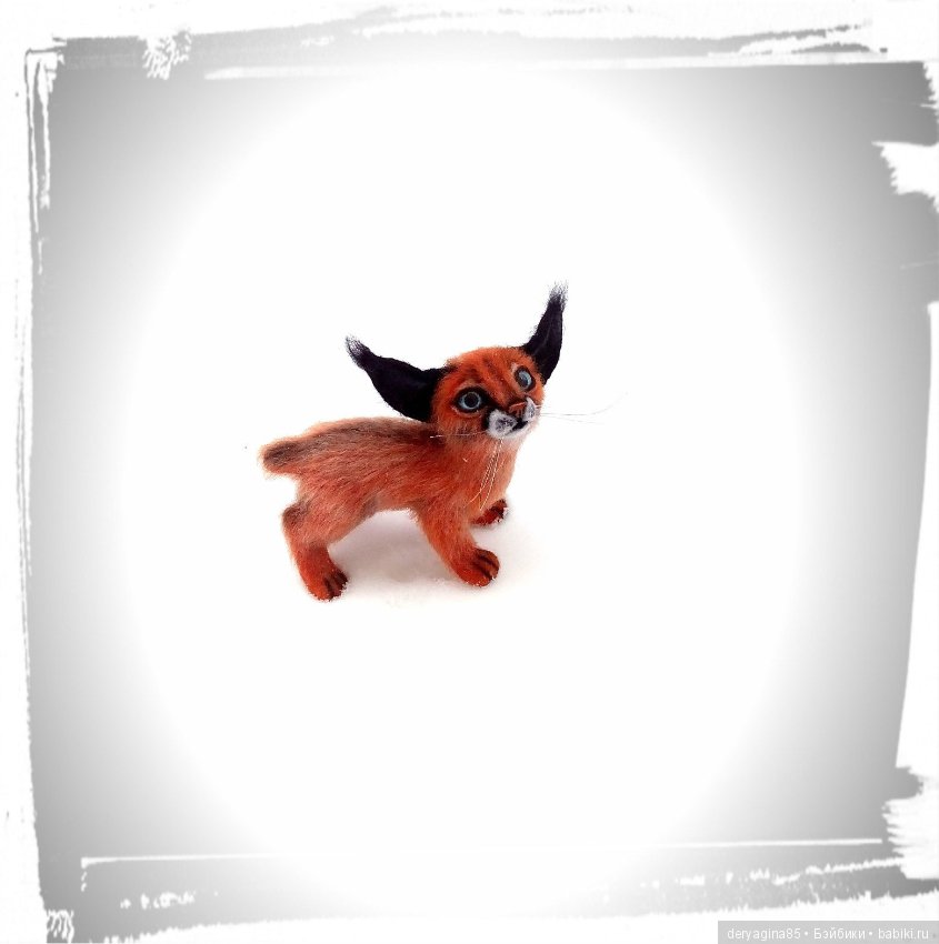 Малыш каракал, степная рысь (фото 4)