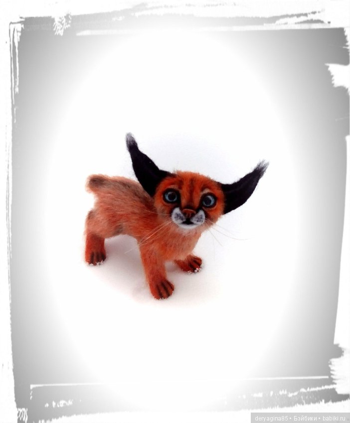 Малыш каракал, степная рысь