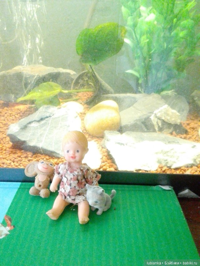 Недопетая ария про АРИшек иже с ними (фото 6)