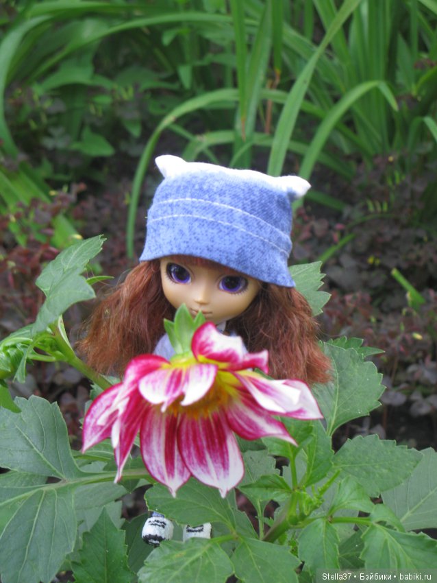 С чего все началось. Мини Пуллип (фото 4)