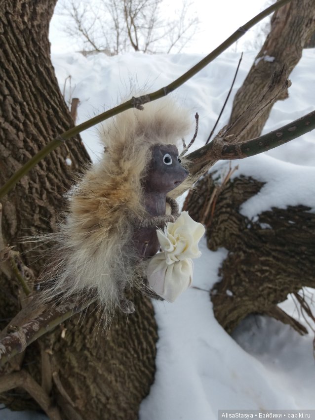 Вышел ежик из тумана — Другие хобби и увлечения: сад
