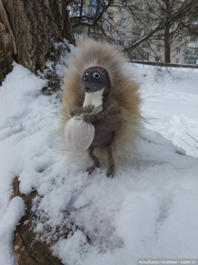 Вышел ежик из тумана — Другие хобби и увлечения: сад (фото 5)