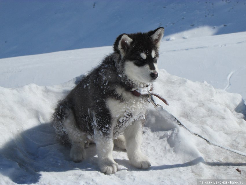 Просто горы — Куклы Dollshe Craft (Доллше): BJD (БЖД)