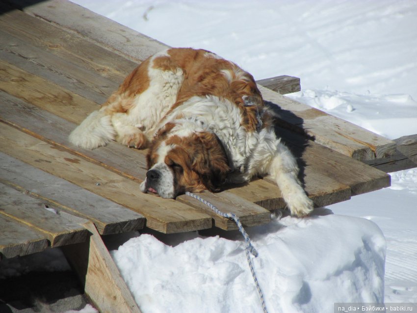 Просто горы — Куклы Dollshe Craft (Доллше): BJD (БЖД)