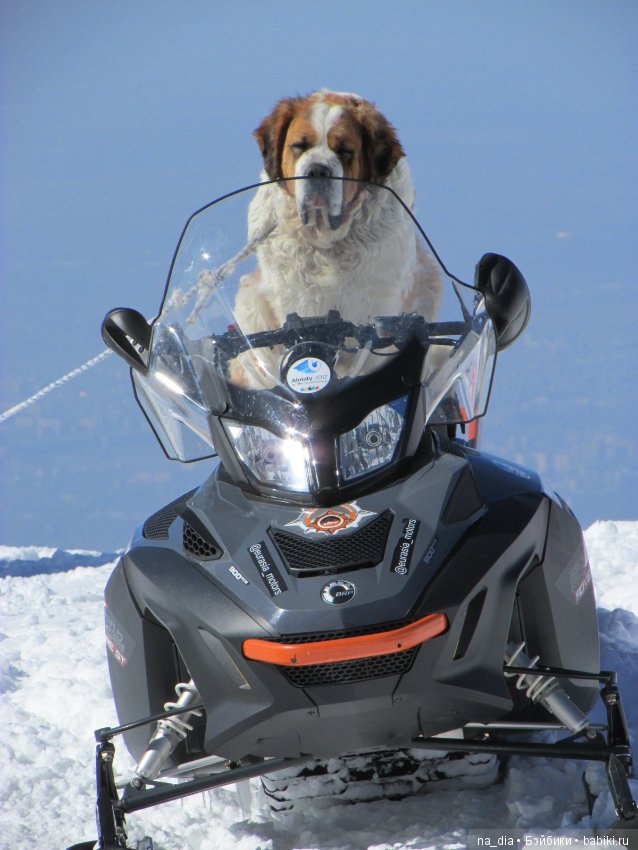 Просто горы — Куклы Dollshe Craft (Доллше): BJD (БЖД)