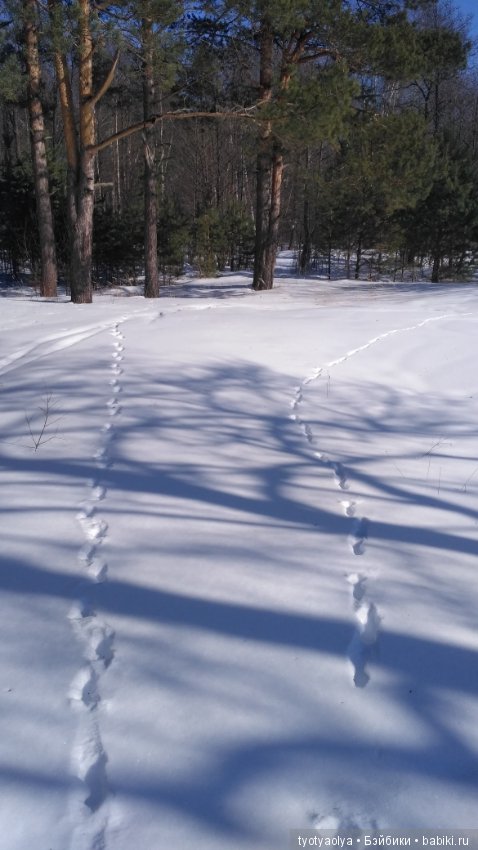 Солнечная весенняя прогулка (фото 8)