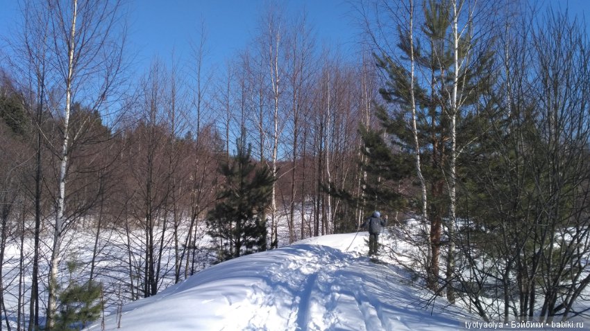 Солнечная весенняя прогулка (фото 2)