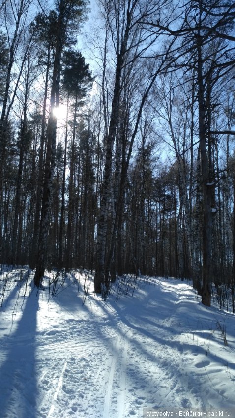 Солнечная весенняя прогулка (фото 3)