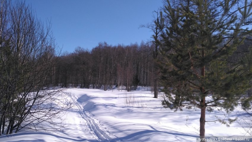 Солнечная весенняя прогулка (фото 5)