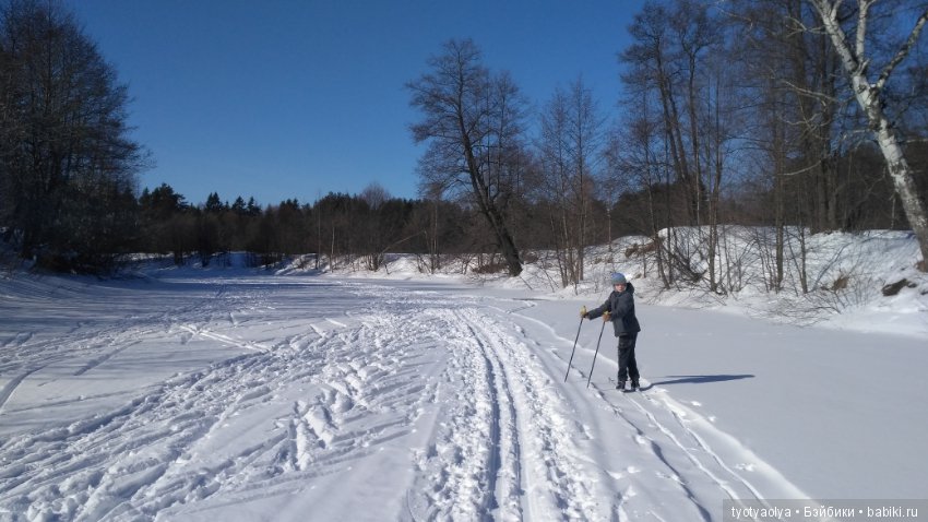 Солнечная весенняя прогулка (фото 7)