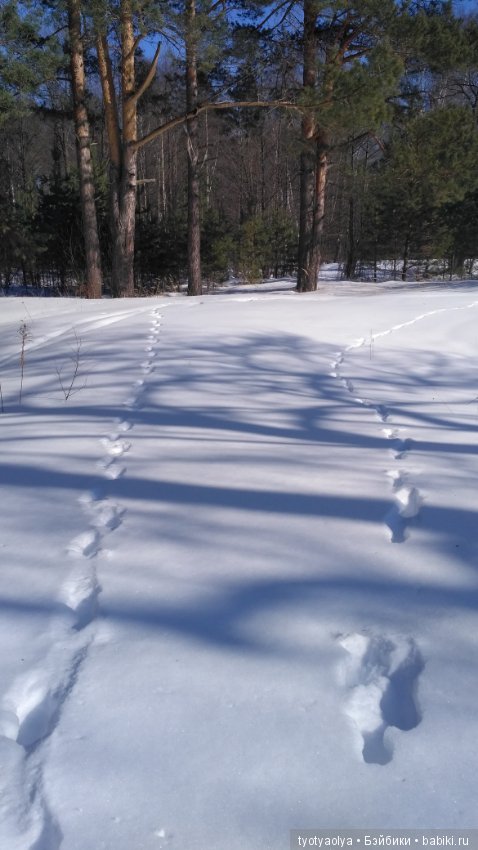 Солнечная весенняя прогулка (фото 6)
