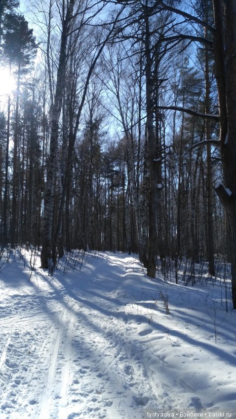 Солнечная весенняя прогулка