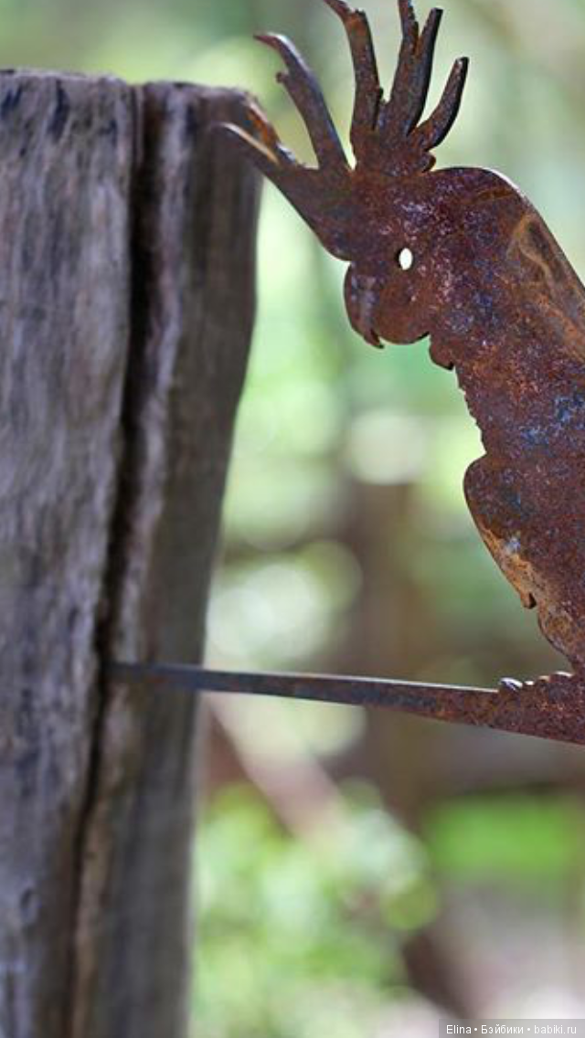 Это так красиво — Туризм и путешествия: фотоотчеты из поездок (фото 2)
