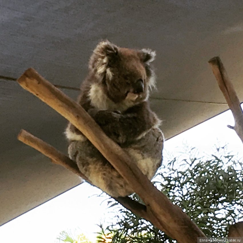 Это так красиво — Туризм и путешествия: фотоотчеты из поездок