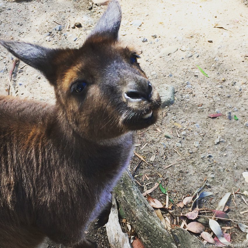 Это так красиво — Туризм и путешествия: фотоотчеты из поездок