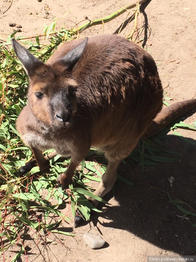 Это так красиво — Туризм и путешествия: фотоотчеты из поездок