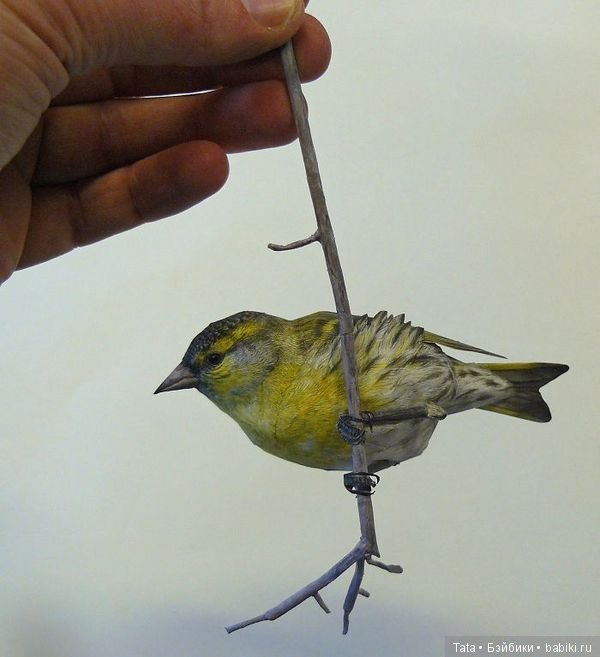 Бумажные, но как живые. Реалистичные фигурки птиц от Йохана Шерфта