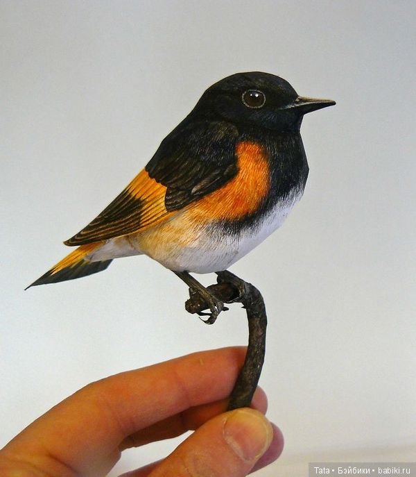 Бумажные, но как живые. Реалистичные фигурки птиц от Йохана Шерфта (фото 7)