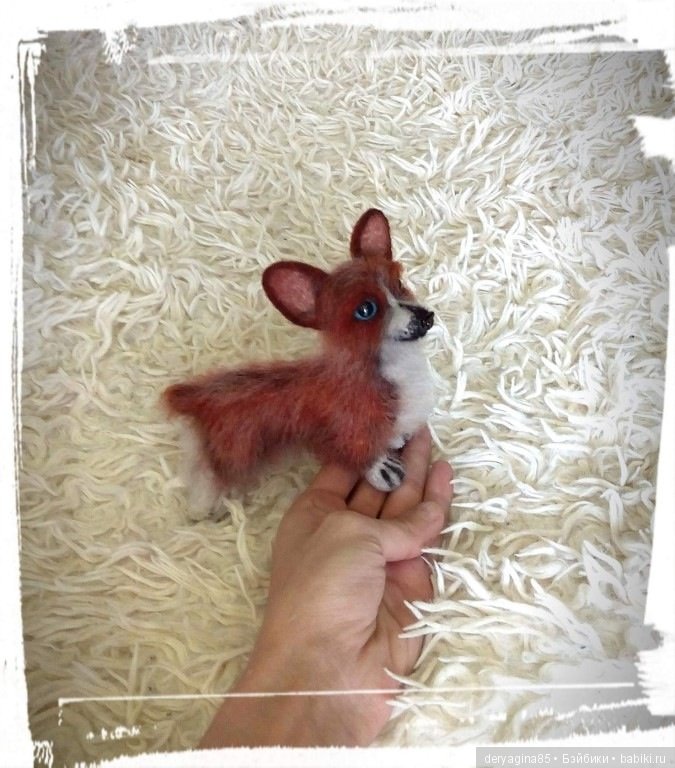 Мой первый вельш корги пемброк в формате мини