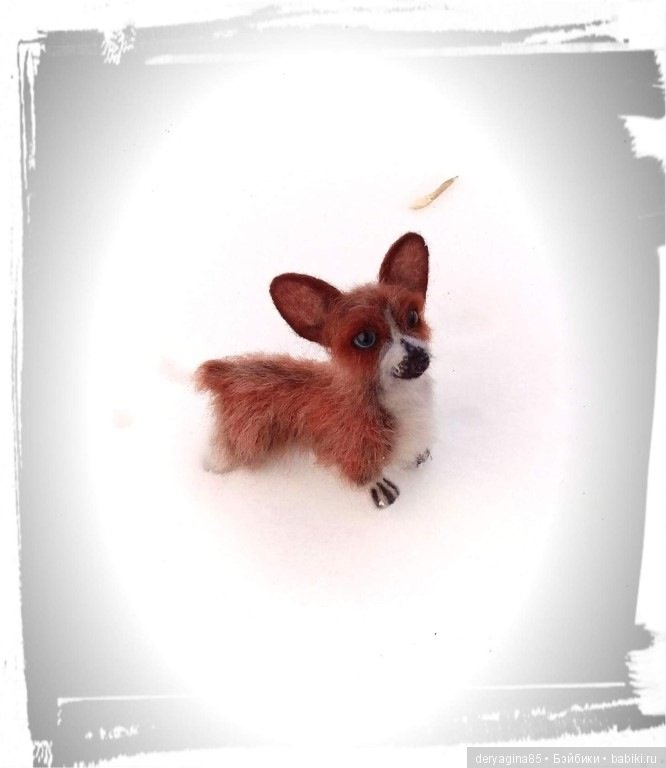 Мой первый вельш корги пемброк в формате мини (фото 2)