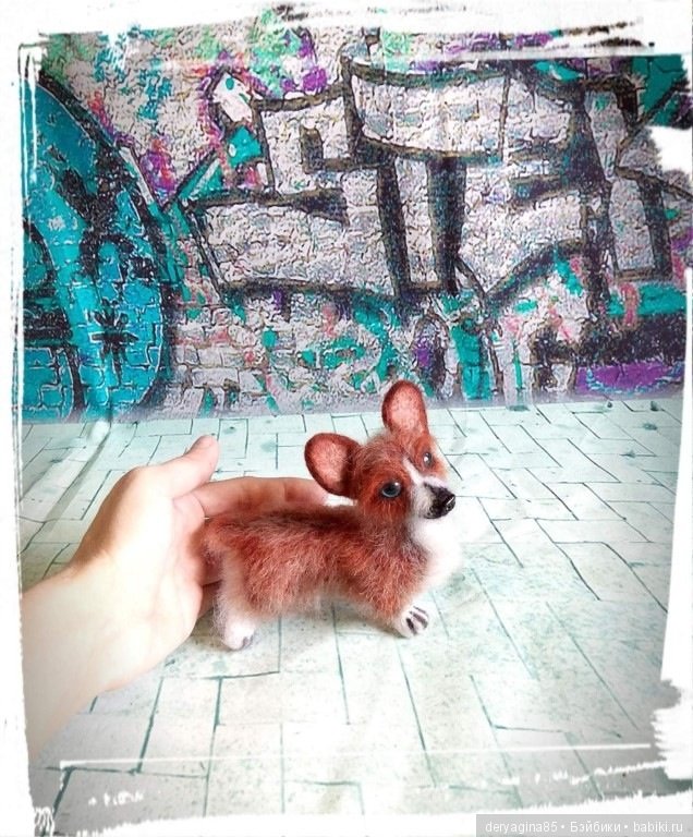 Мой первый вельш корги пемброк в формате мини (фото 8)