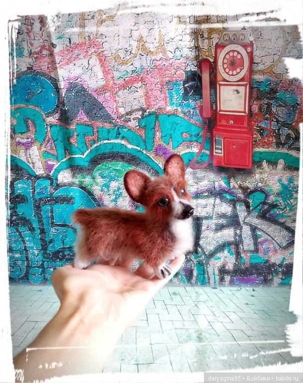 Мой первый вельш корги пемброк в формате мини (фото 7)