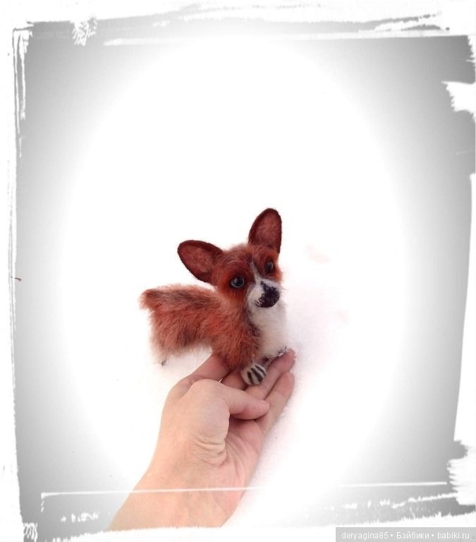 Мой первый вельш корги пемброк в формате мини (фото 3)